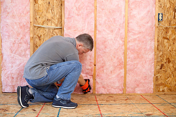 Best Commercial Insulation in Delmont, PA